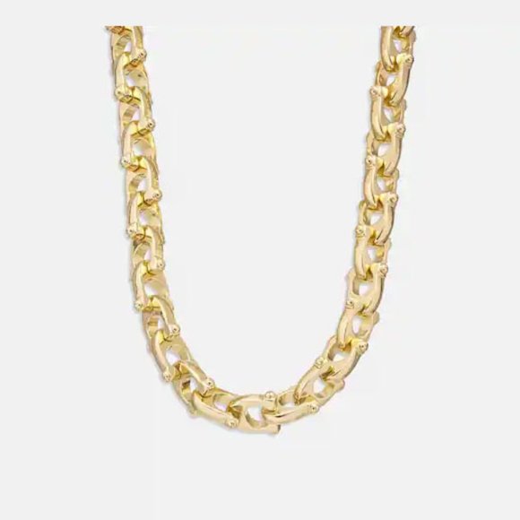 Coach Chunky Signature Chain Link Necklace - Picture 1 of 5